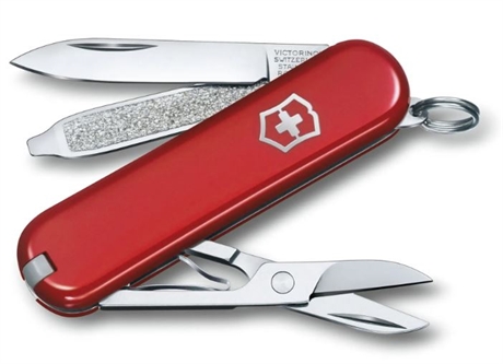 Couteau Victorinox Classic SD tasty grape